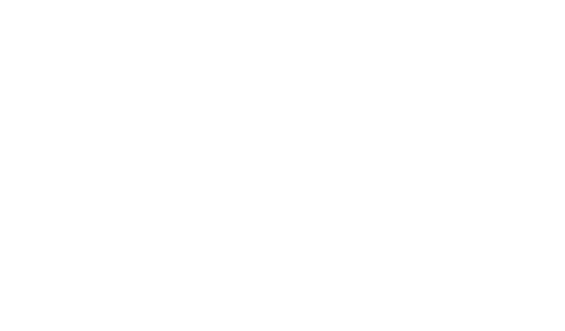 Neff Master Partner